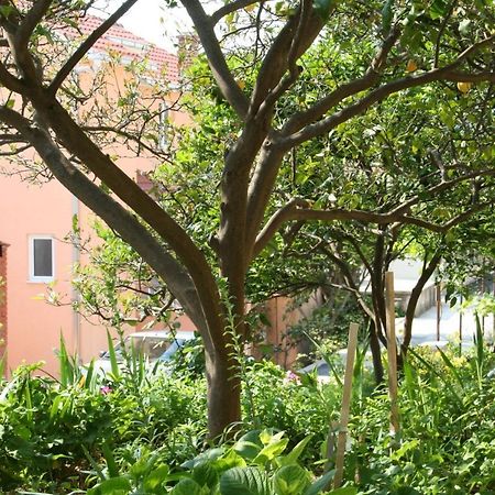 Apartment Podgora 518B Bagian luar foto